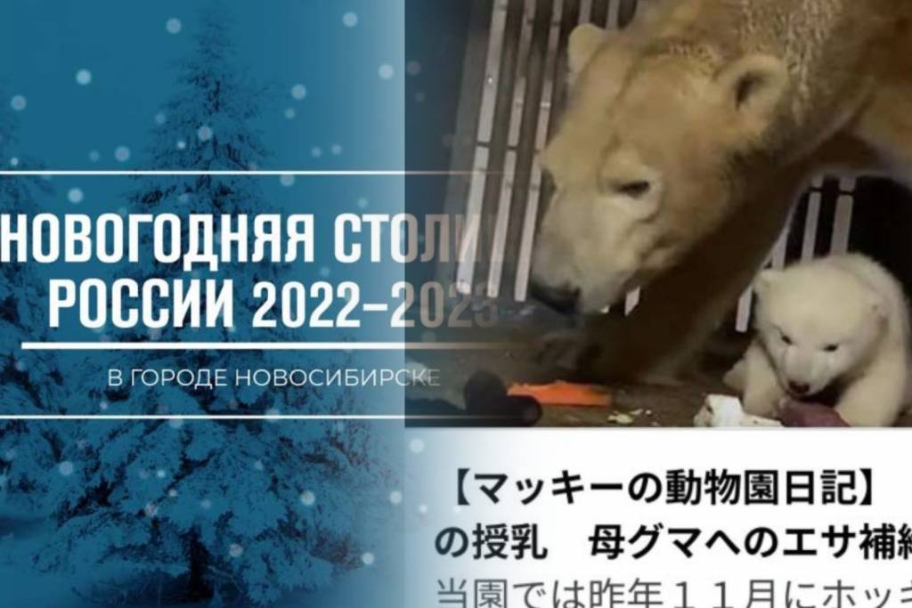 Новогодняя Столица России 2022 2023