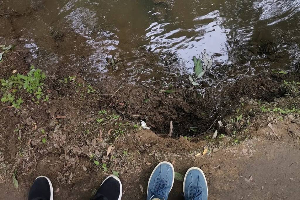 Власти Новосибирска вводят режим ЧС из-за разрушения берега