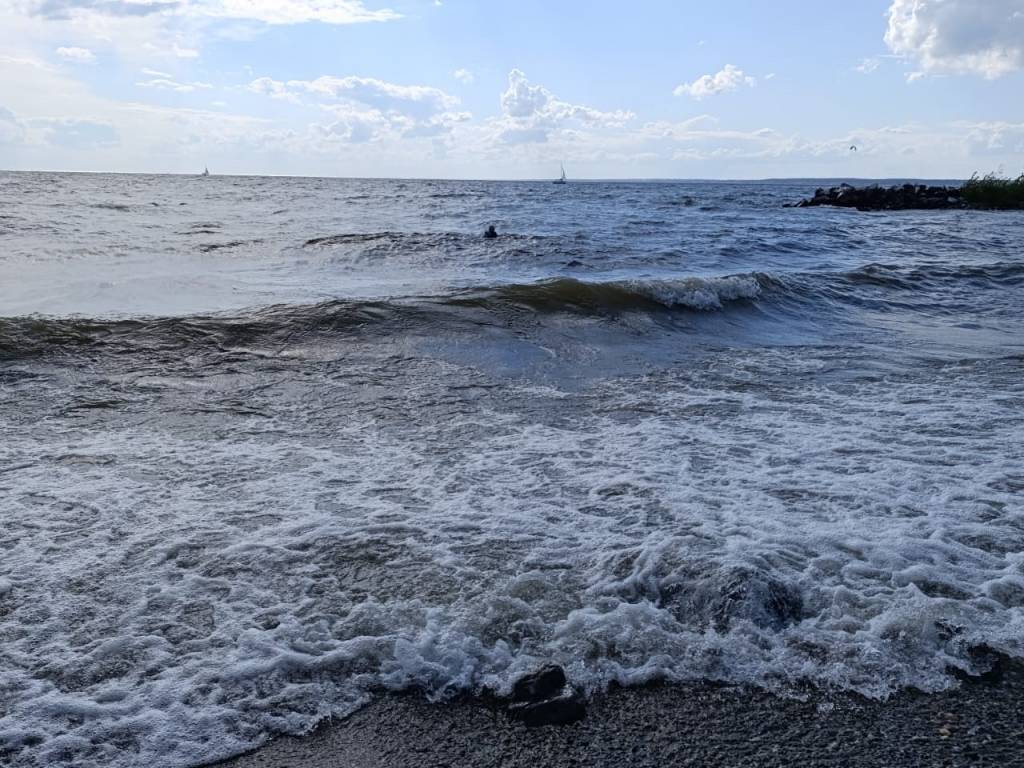 Прогноз погоды в Новосибирске на 20 августа