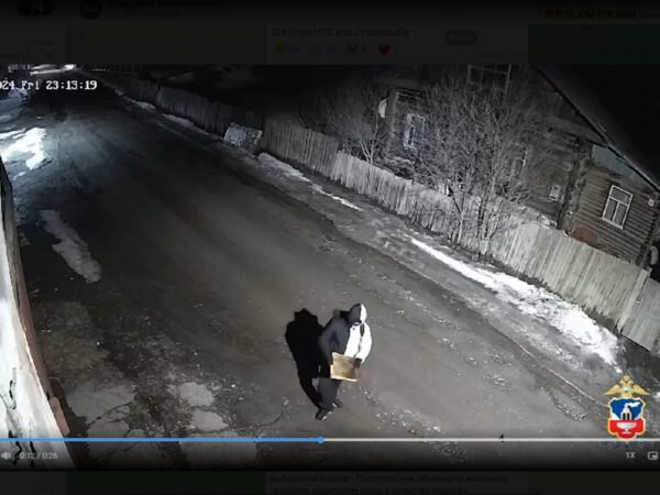 Новосибирские подростки в Белокурихе украли улей с пчелами