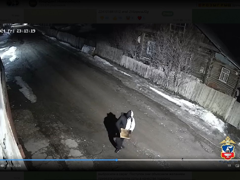 Новосибирские подростки в Белокурихе украли улей с пчелами