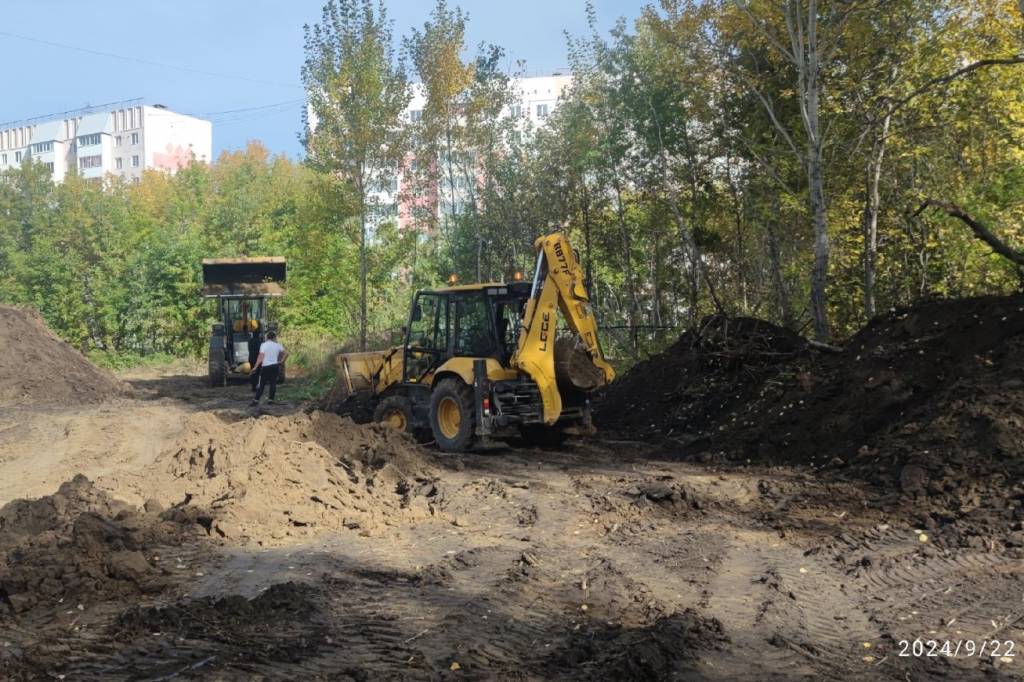 Под Новосибирском подрядчик вырубил деревья около гимназии