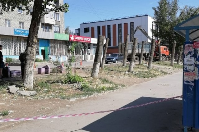 Жители Новосибирска возмущены вырубкой деревьев на улице Бориса Богаткова