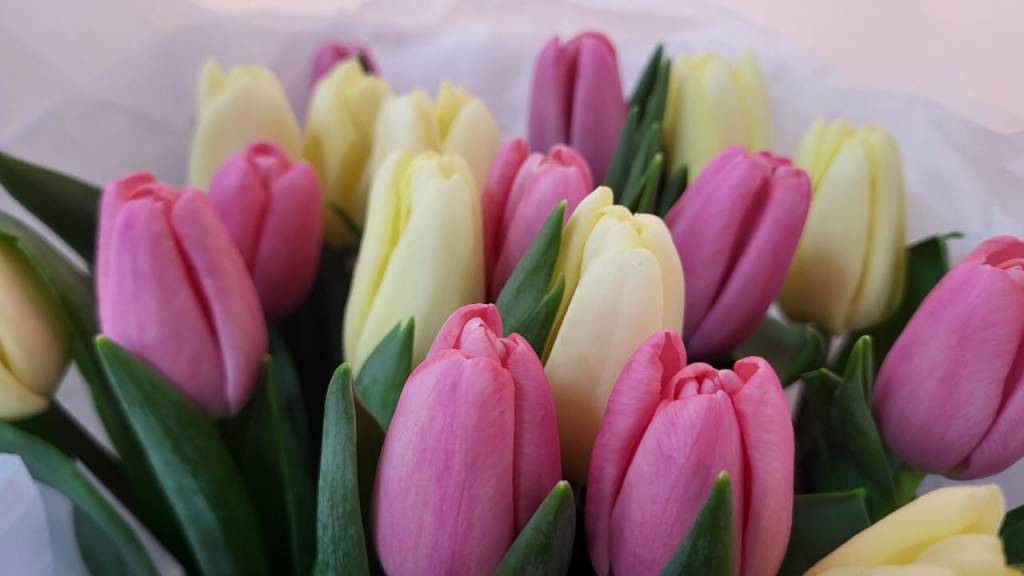 Новосибирцам рассказали