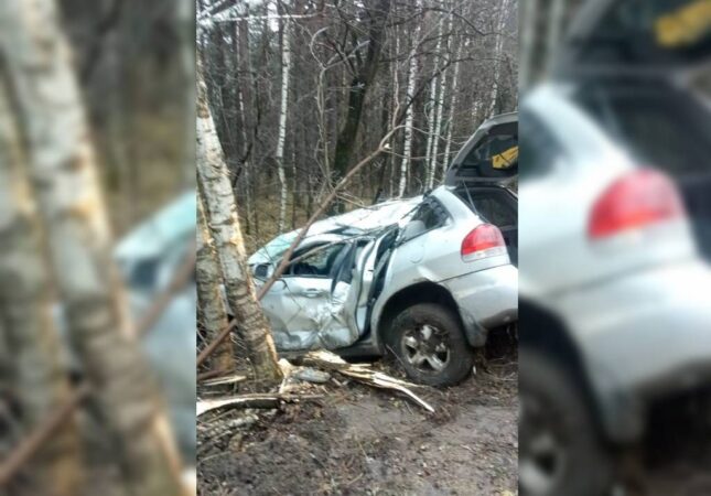 Спасатели помогли новосибирцам выбраться из влетевшего в дерево автомобиля