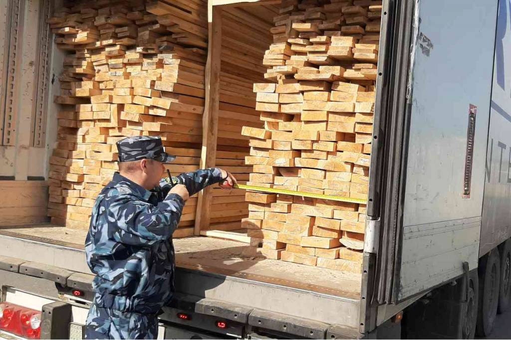 Таможенники в Сибири за полгода выявили более 9 тысяч тонн нелегальной продукции