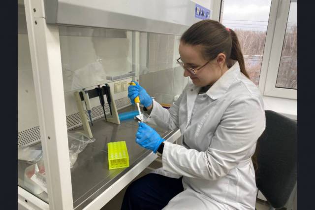 Новые лекарства создают новосибирские ученые