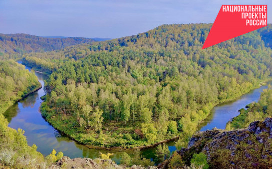 В правительстве региона рассказали