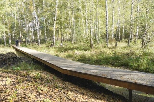 В Новосибирске стоимость благоустройства парка «Каменка» выросла до 384 миллионов рублей