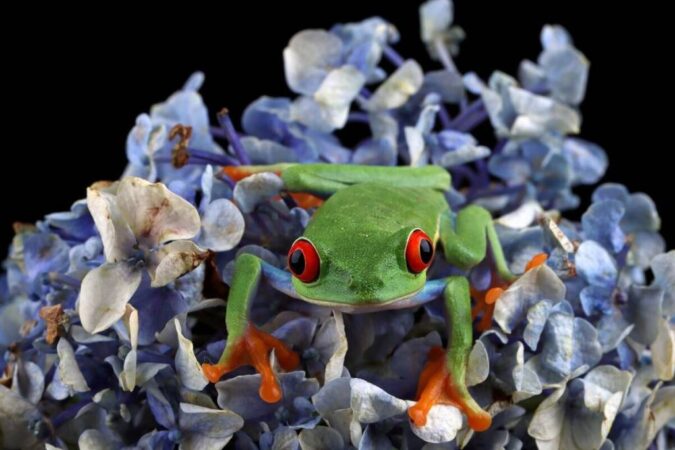 Мусорный полигон под Новосибирском работает без лицензии