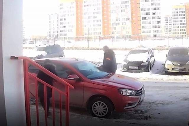 В Новосибирске молодая пара попала в аварию на угнанном автомобиле