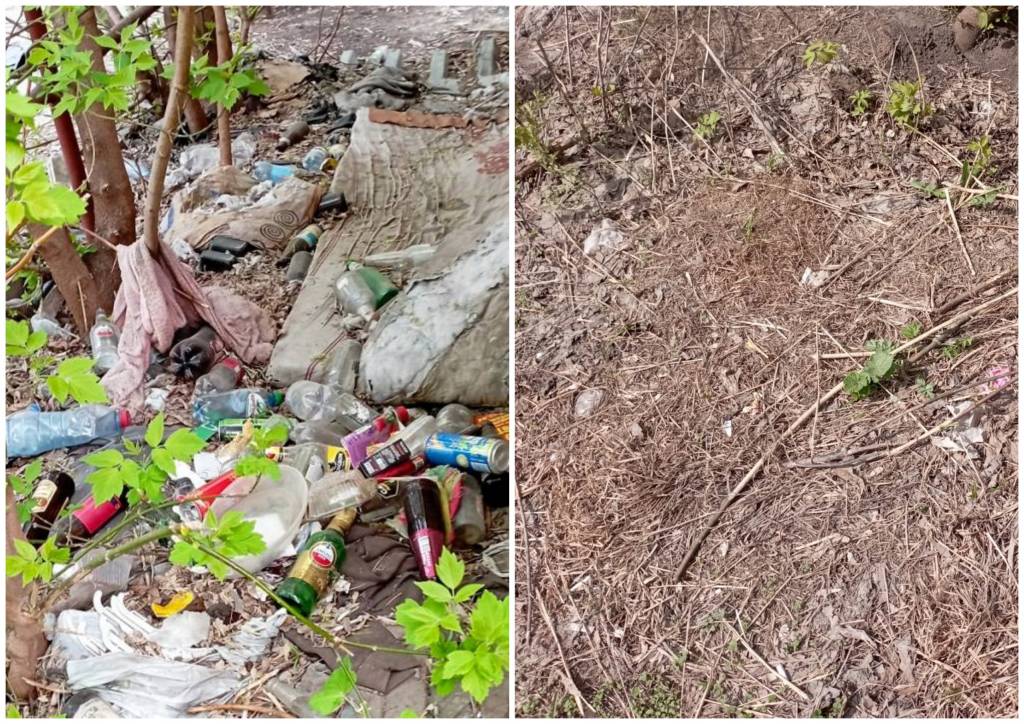 В центре Новосибирска отчистили от мусора двор