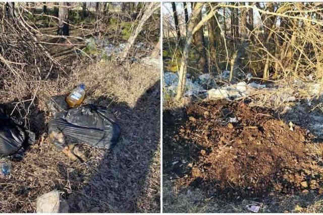 Мешки с мёртвыми собаками обнаружили возле СНТ под Новосибирском