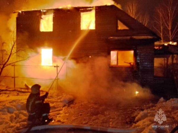 В Новосибирской области за неделю произошло 95 пожаров