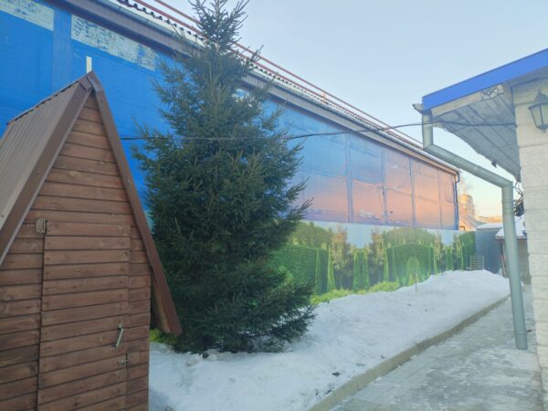 В Новосибирске житель частного сектора устроил на своем участке автобазу и магазин