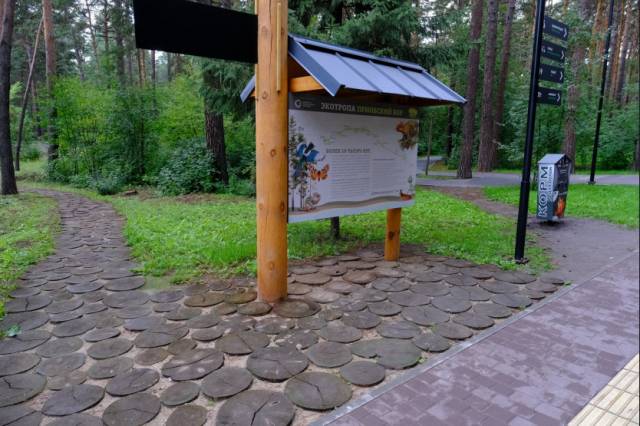 Андрей Травников поручил защитить городские леса и парки Новосибирска