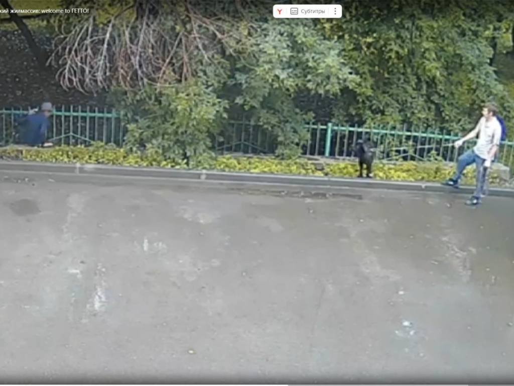 Парень с собакой заставил мигранта убрать выброшенный им мусор