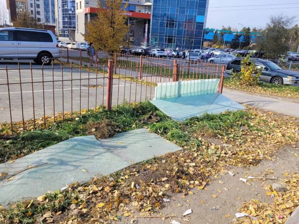 В Новосибирске прокуратура проверит снос остановки с изображением животных у зоопарка