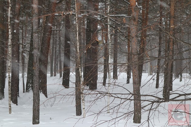 Верховный суд дал оценку проблеме создания ООПТ в Новосибирской области