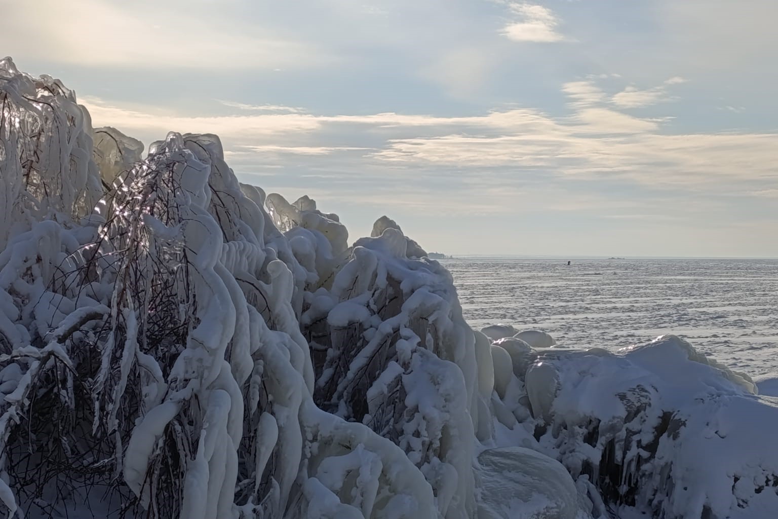Аномально высокие температуры ждут новосибирцев в ноябре