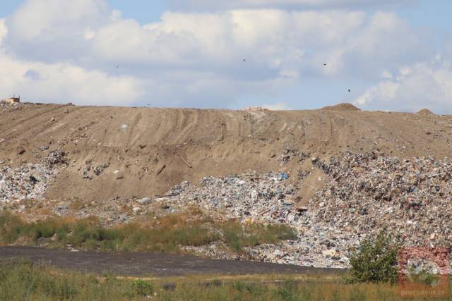 В Новосибирской области обнаружили более 360 несанкционированных свалок