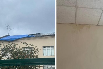 Новосибирская школа покрылась плесенью и мхом
