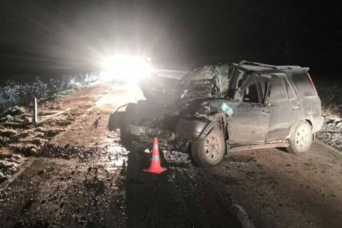 Под Новосибирском женщина-водитель без прав погибла в ДТП