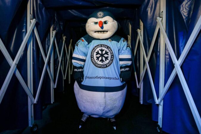 Новосибирского болельщика ХК «Сибирь» арестовали на 10 суток