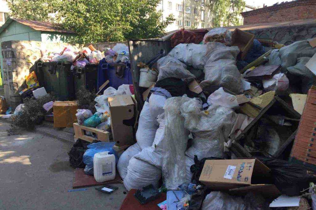 В Заксобрании НСО выяснят причины мусорного коллапса в регионе