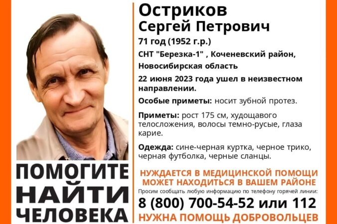 В Новосибирской области пропал 71-летний дачник в черных сланцах