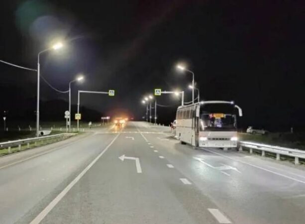 Под Новосибирском бердского депутата Светлану Уварову сбил автобус