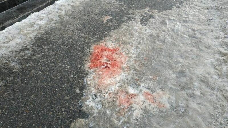В Новосибирске на месте падения девушки на 17-летнего парня по-прежнему не убраны следы крови