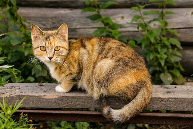 В Новосибирске в воскресенье потеплеет до +17 градусов