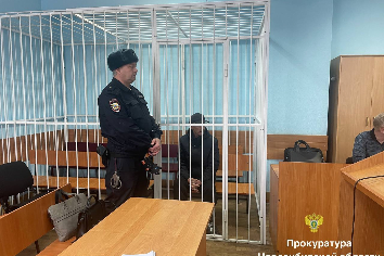 Новосибирца отправили в СИЗО за смертельное ДТП с ребенком