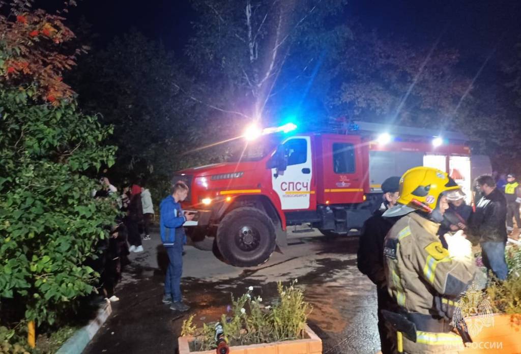 В Новосибирской области в МЧС назвали главную причину пожаров