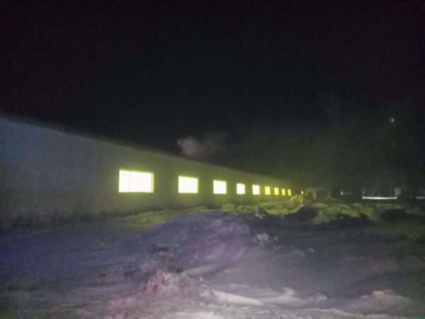 Под Новосибирском загорелся скотный двор со 150 коровами