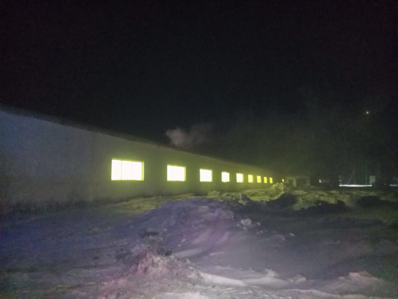 Под Новосибирском загорелся скотный двор со 150 коровами