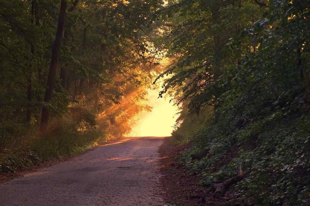 В Новосибирске на выходных ожидается теплая и солнечная погода
