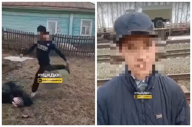 В Новосибирской области подросток из Сокура извинился на камеру за избиение школьника