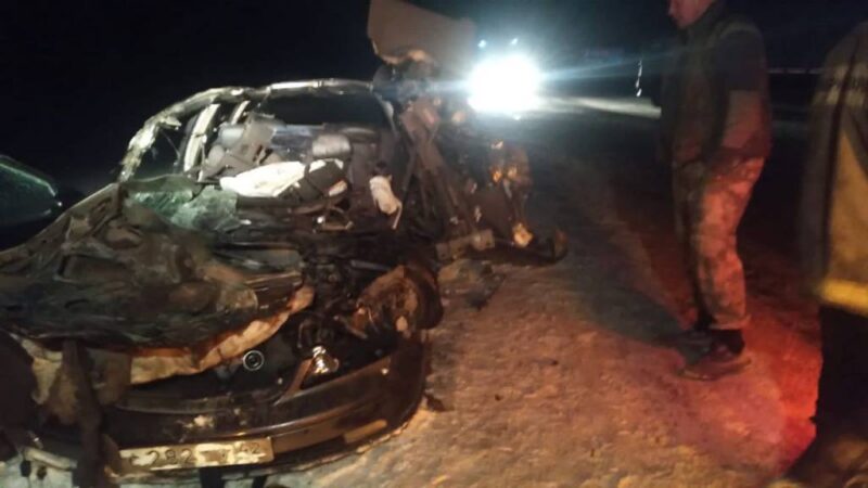 В Новосибирской области произошло смертельное ДТП с грузовым фургоном