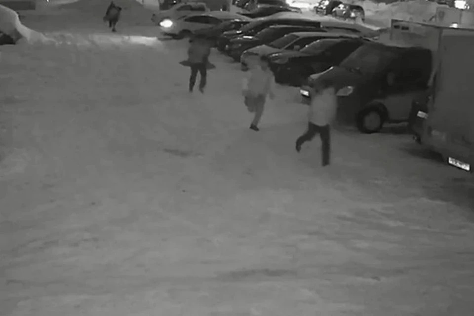 В Новосибирске возбудили уголовное дело из-за нападения мужчин на водителя такси