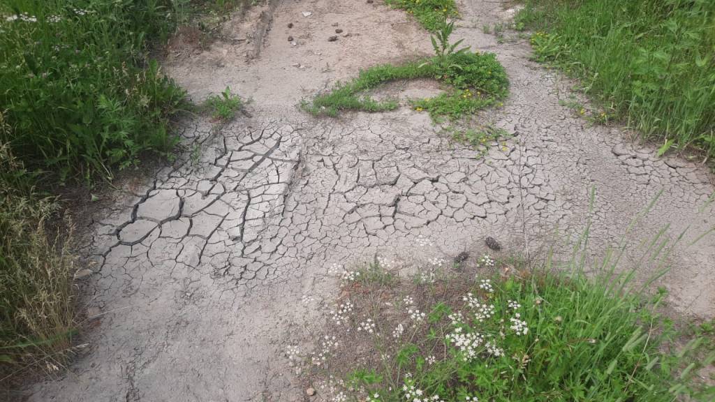 Возмущенные отсутствием воды жители поселка Ленинский готовы пикетировать с тазами сельскую администрацию