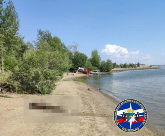 Отец утонул на глазах у маленького сына в районе пескобазы в Новосибирске