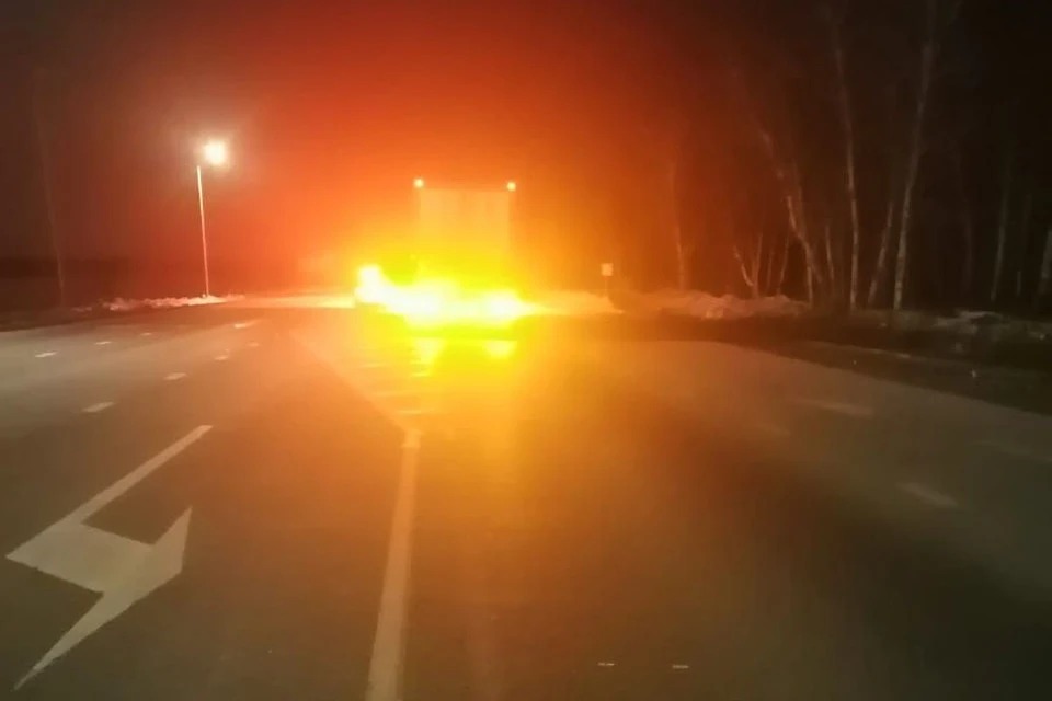 В Новосибирской области 39-летняя женщина погибла под колесами фуры