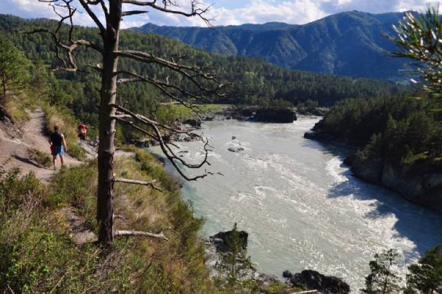 Житель Новосибирской области на Алтае упал с обрыва в реку Катунь