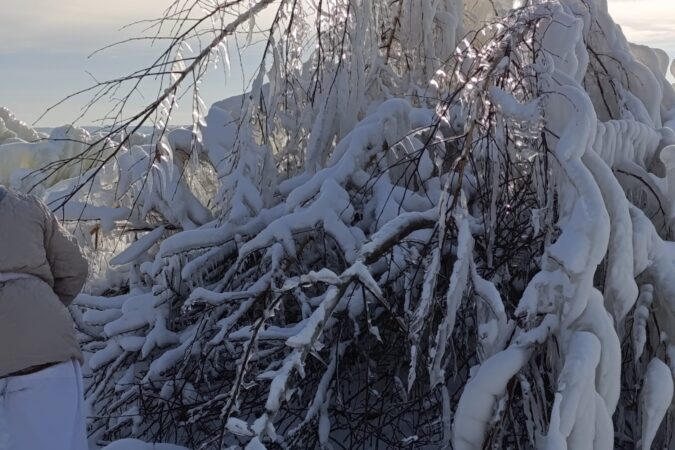 Морозы придут в Новосибирскую область на выходных