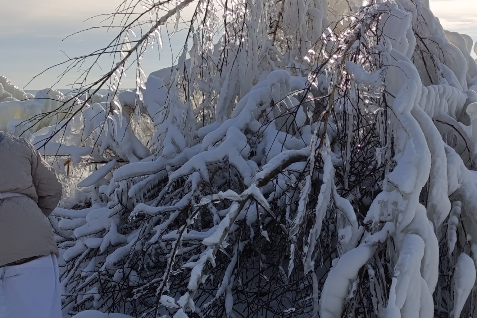 Морозы придут в Новосибирскую область на выходных