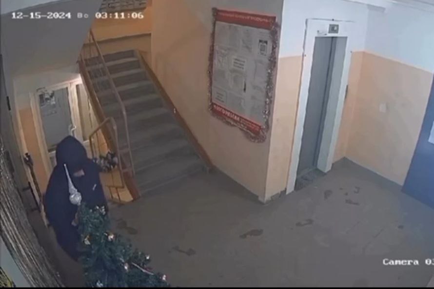 Новосибирский «Гринч» украл из подъезда новогоднюю елку