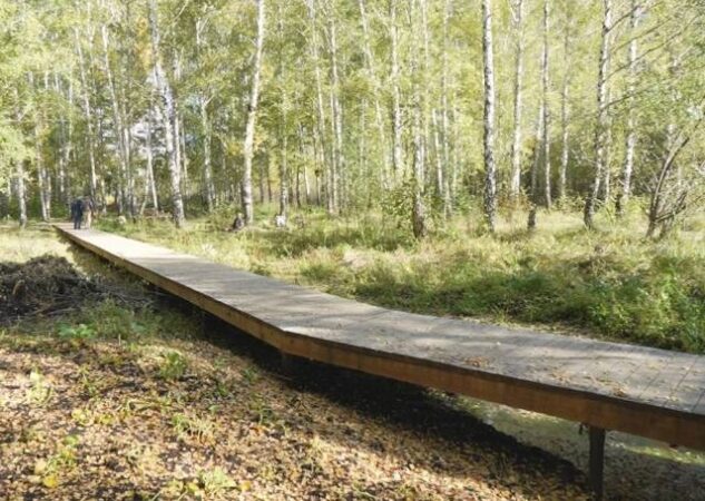 Замороженную стройплощадку новосибирского парка взяли под охрану