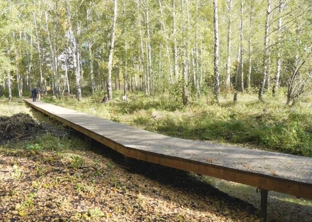 Замороженную стройплощадку новосибирского парка взяли под охрану